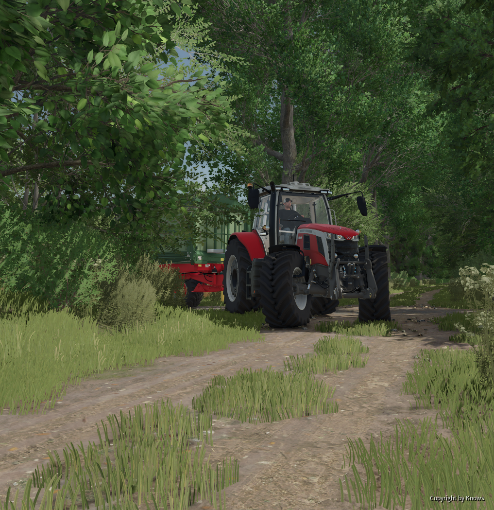 Diepholz mit meinem schönen Massey