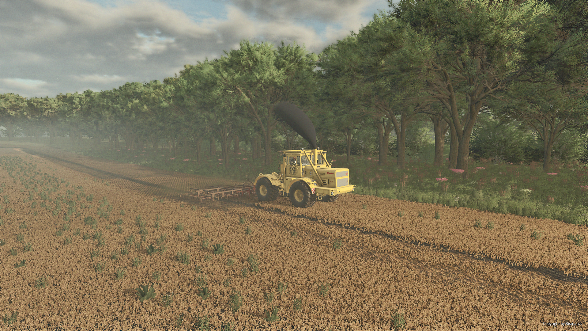 K701 und B407