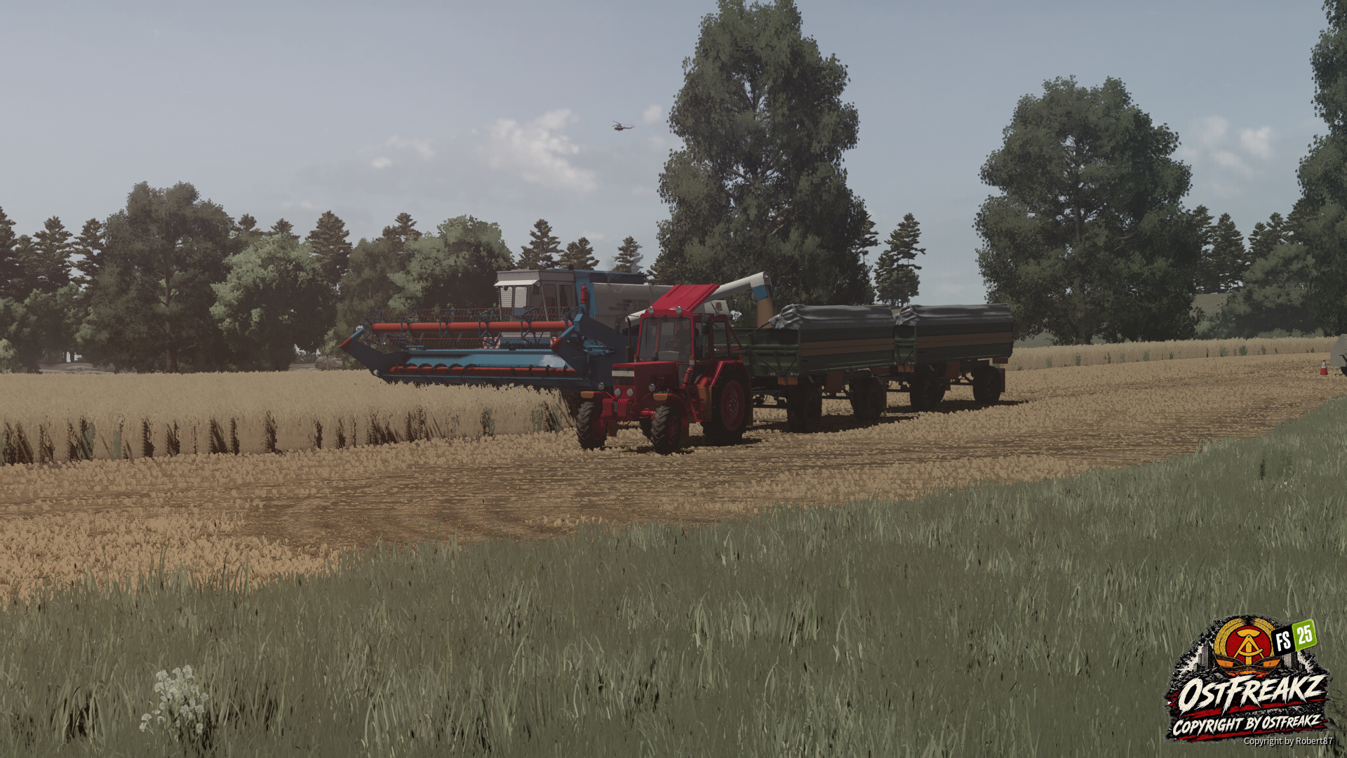 FS25