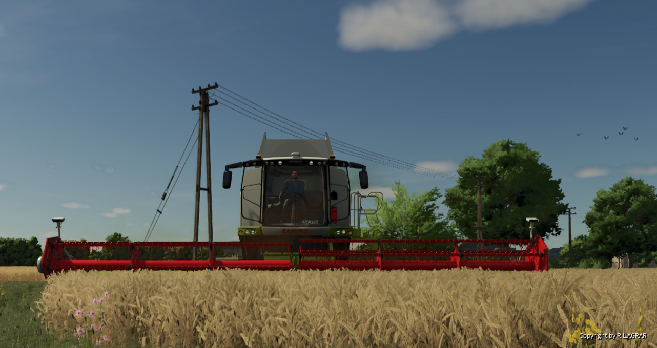 Triticale muss runter...😉