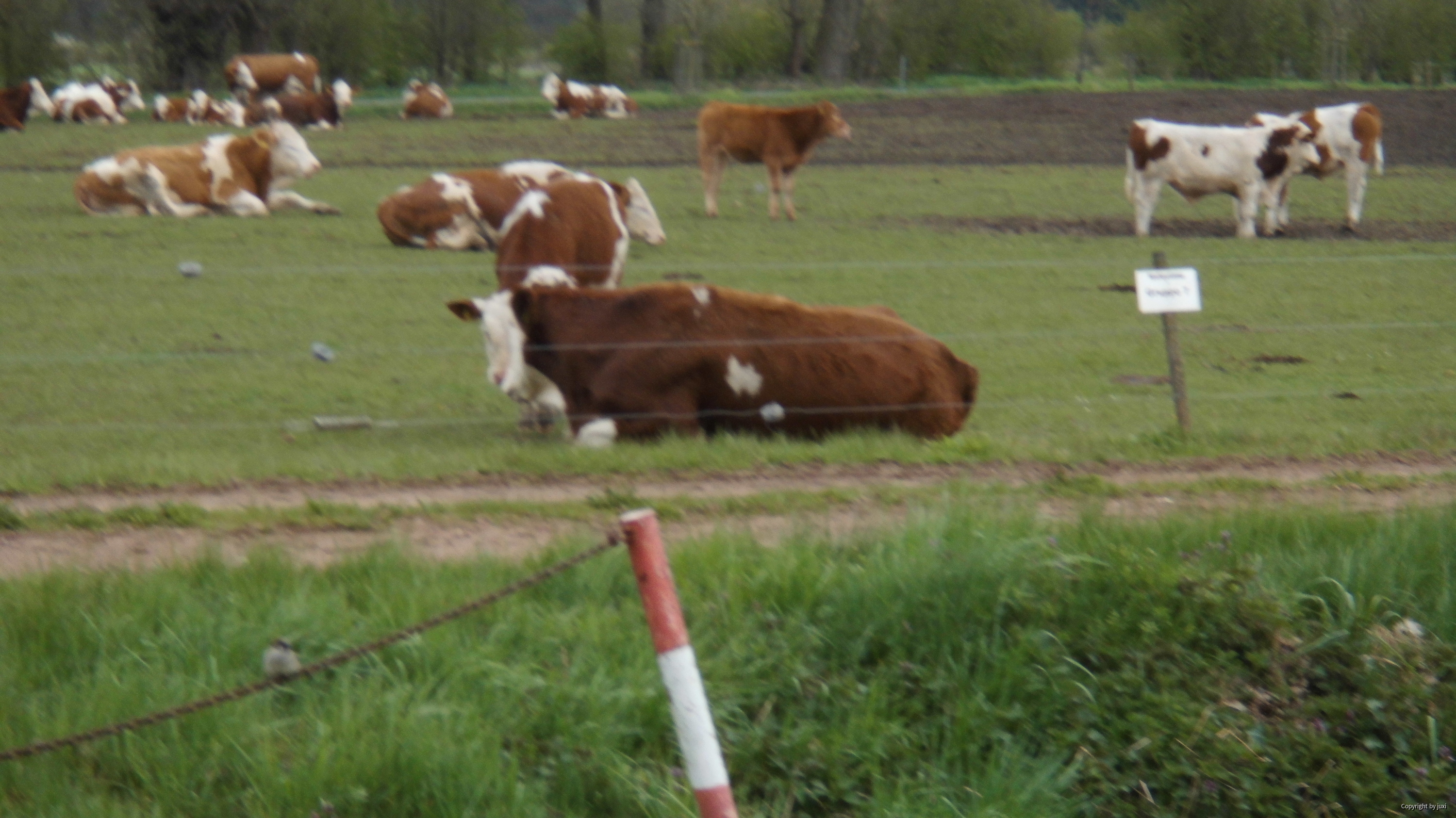 die Mädels und Jungs sind alle satt