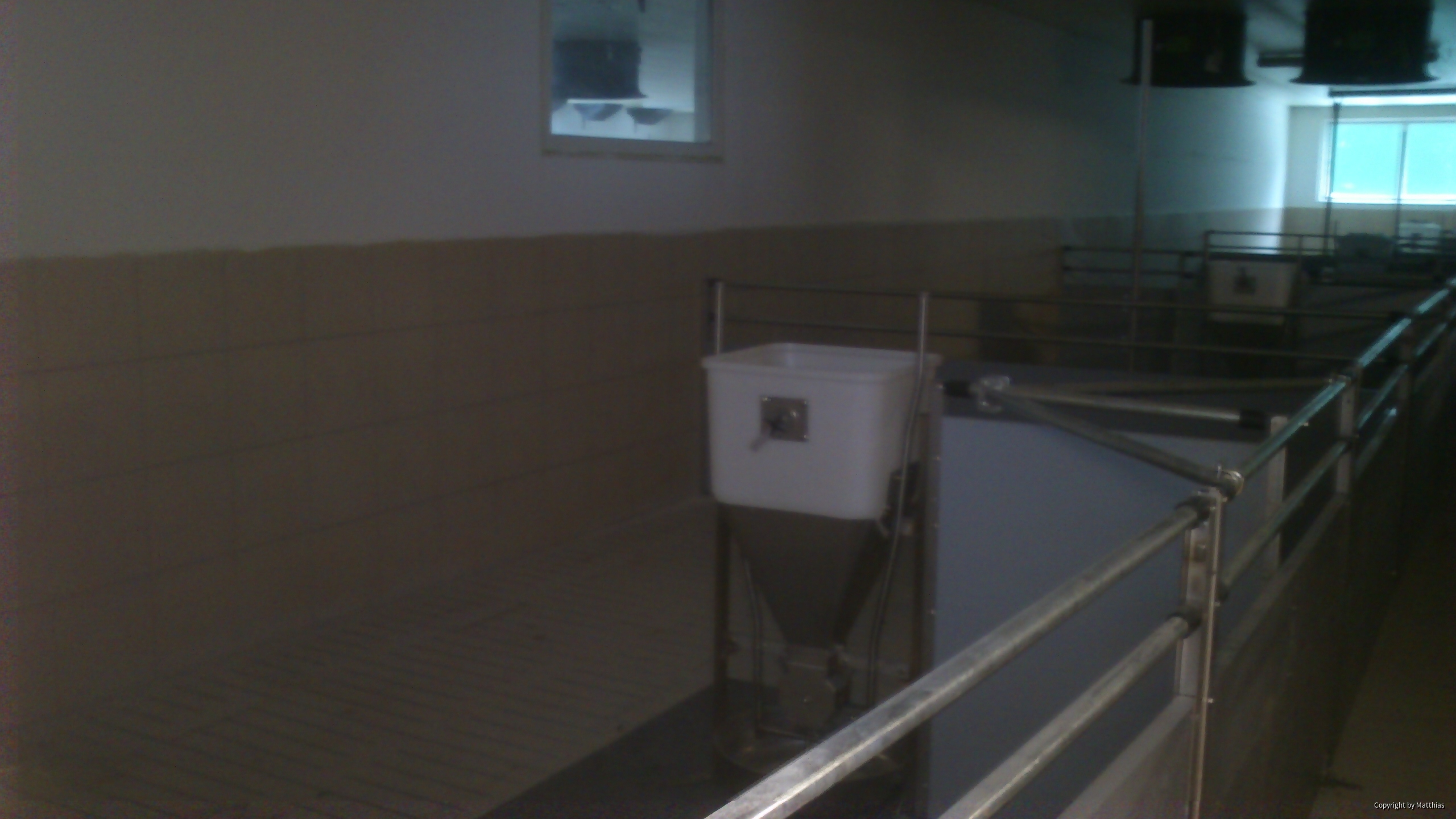 Maststall Bau im Jahr 2013 (Schweinemast)-5
