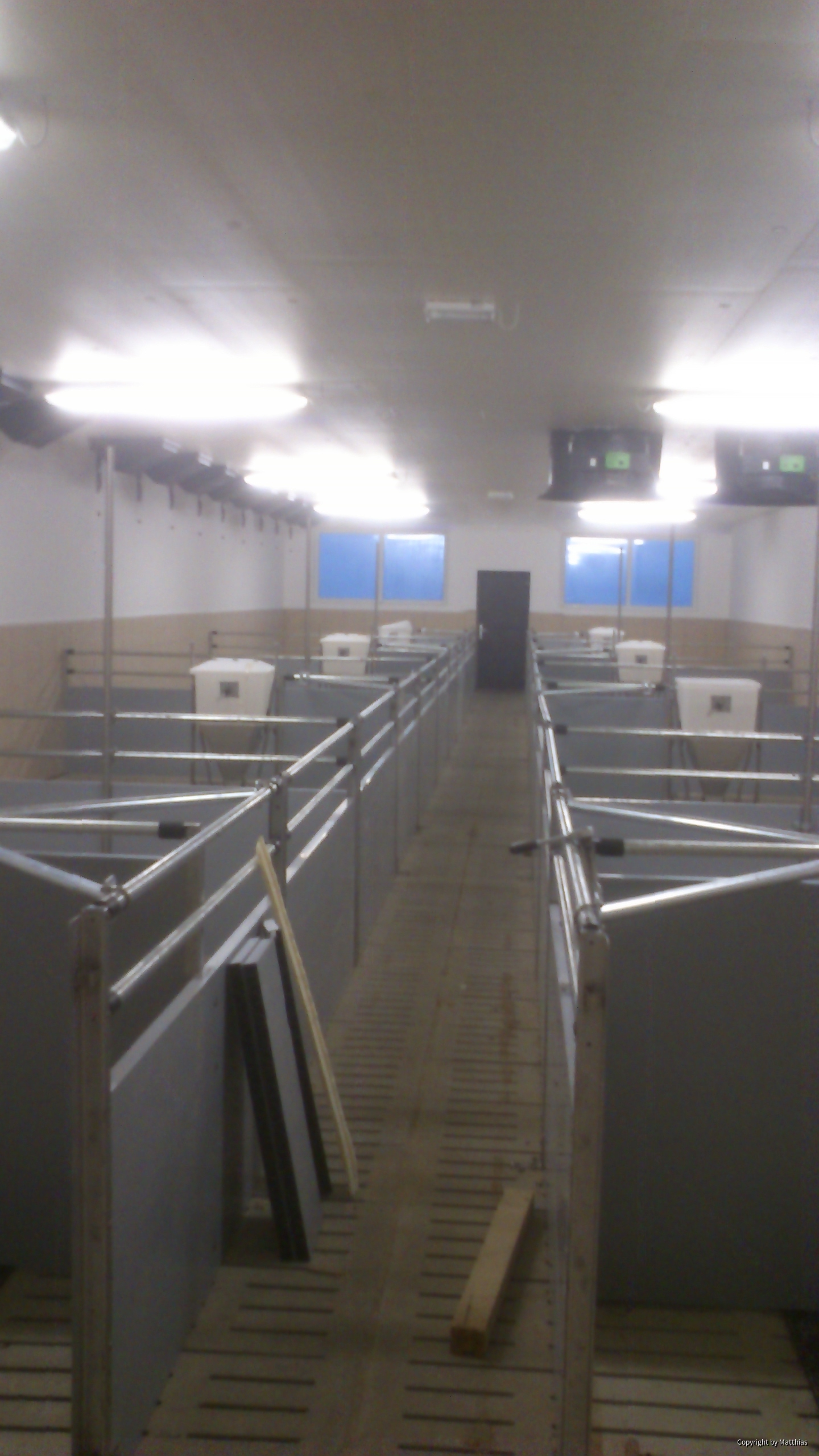 Maststall Bau im Jahr 2013 (Schweinemast)-5