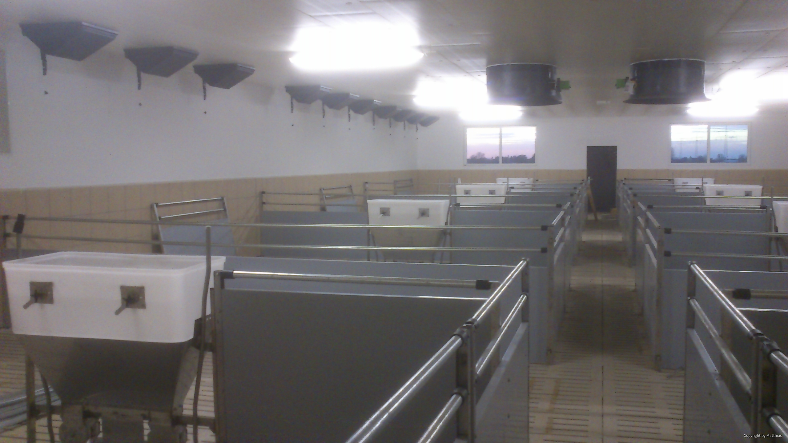 Maststall Bau im Jahr 2013 (Schweinemast)-5