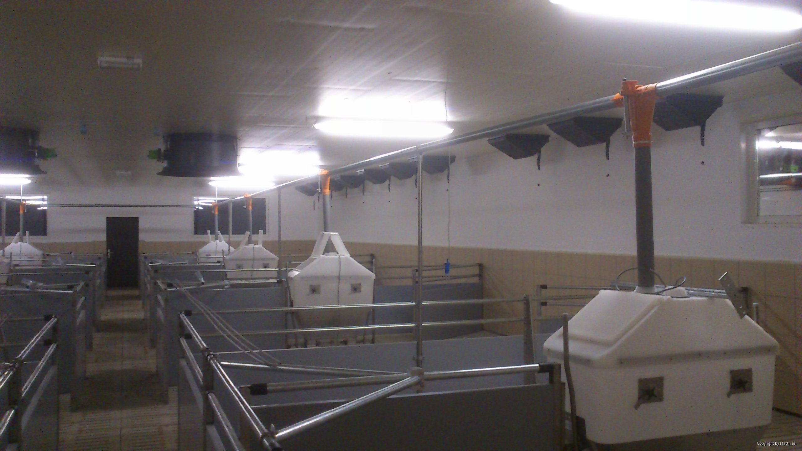 Maststall Bau im Jahr 2013 (Schweinemast)-5