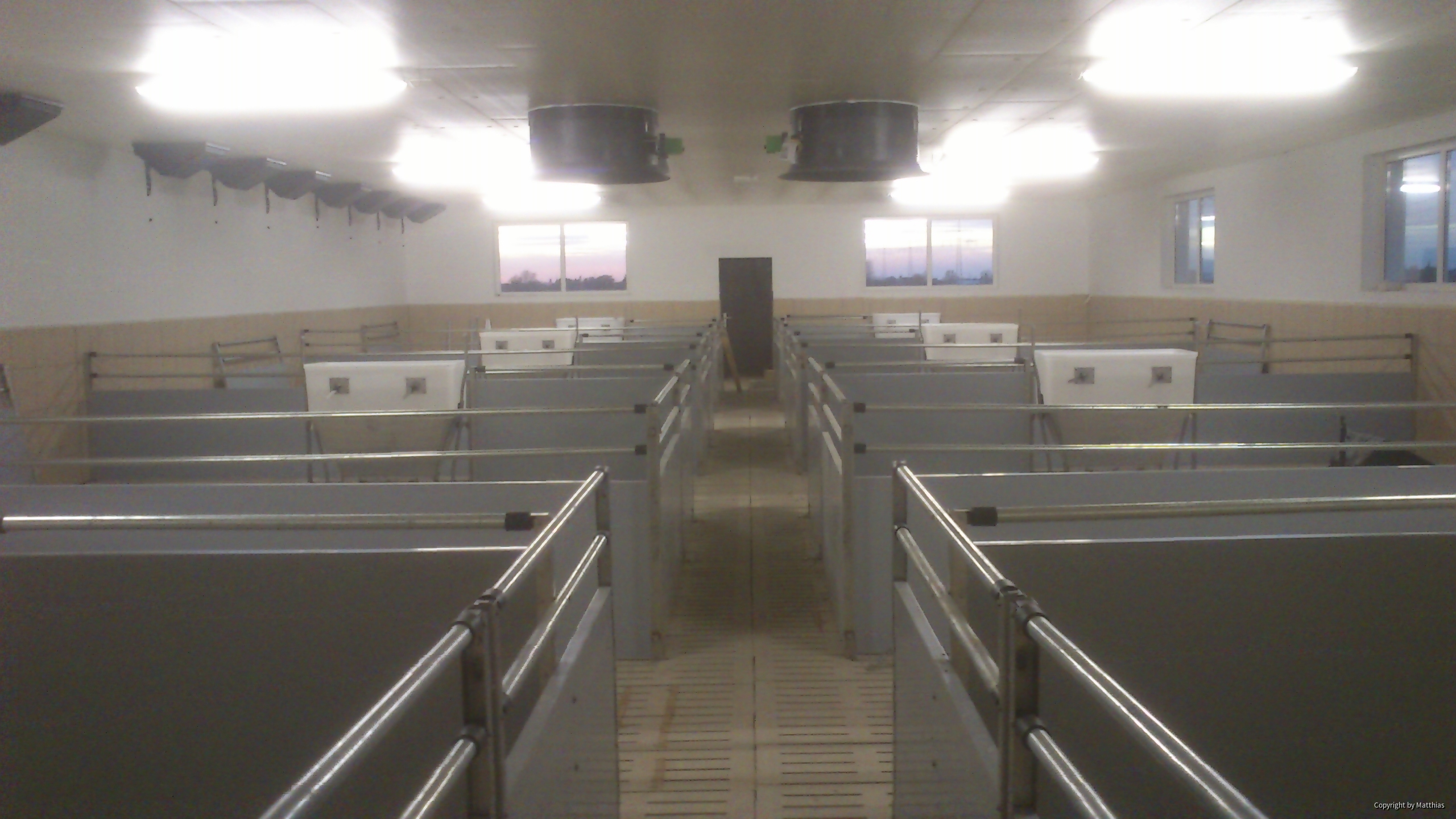 Maststall Bau im Jahr 2013 (Schweinemast)-5