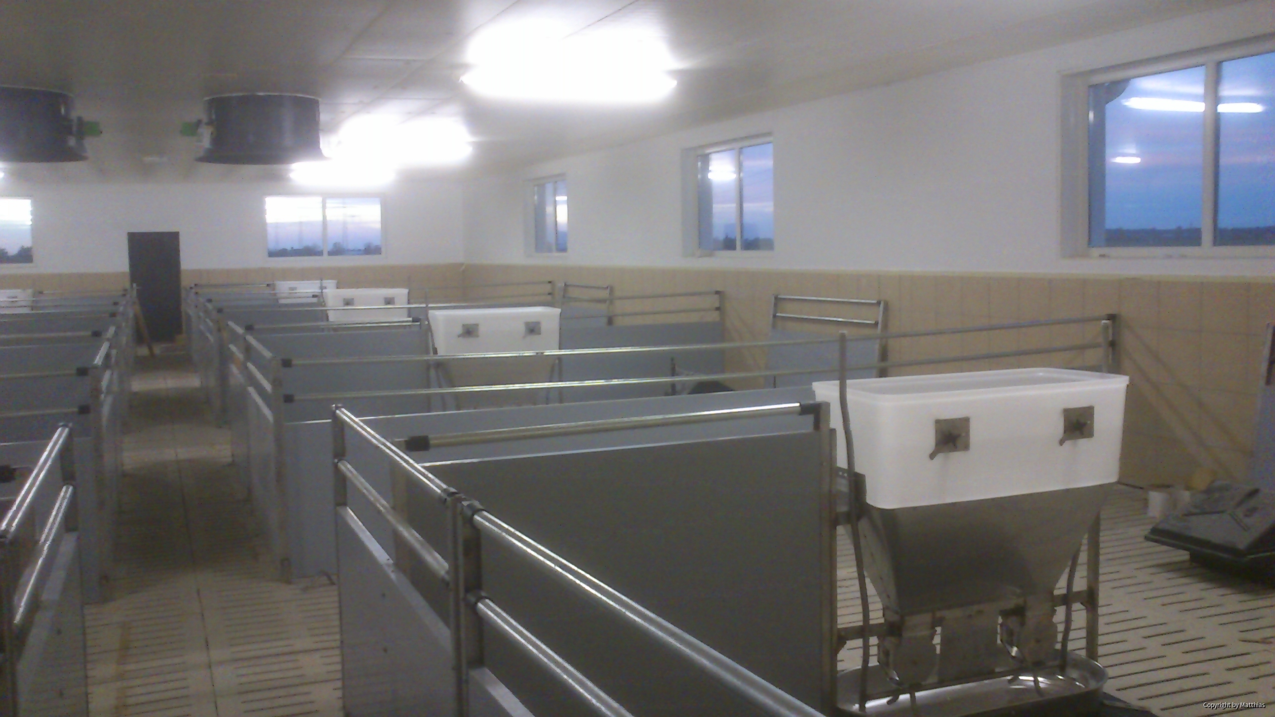Maststall Bau im Jahr 2013 (Schweinemast)-5