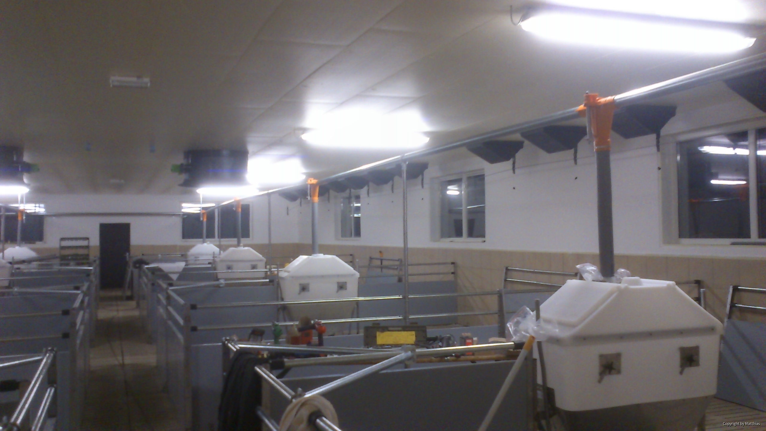 Maststall Bau im Jahr 2013 (Schweinemast)-5