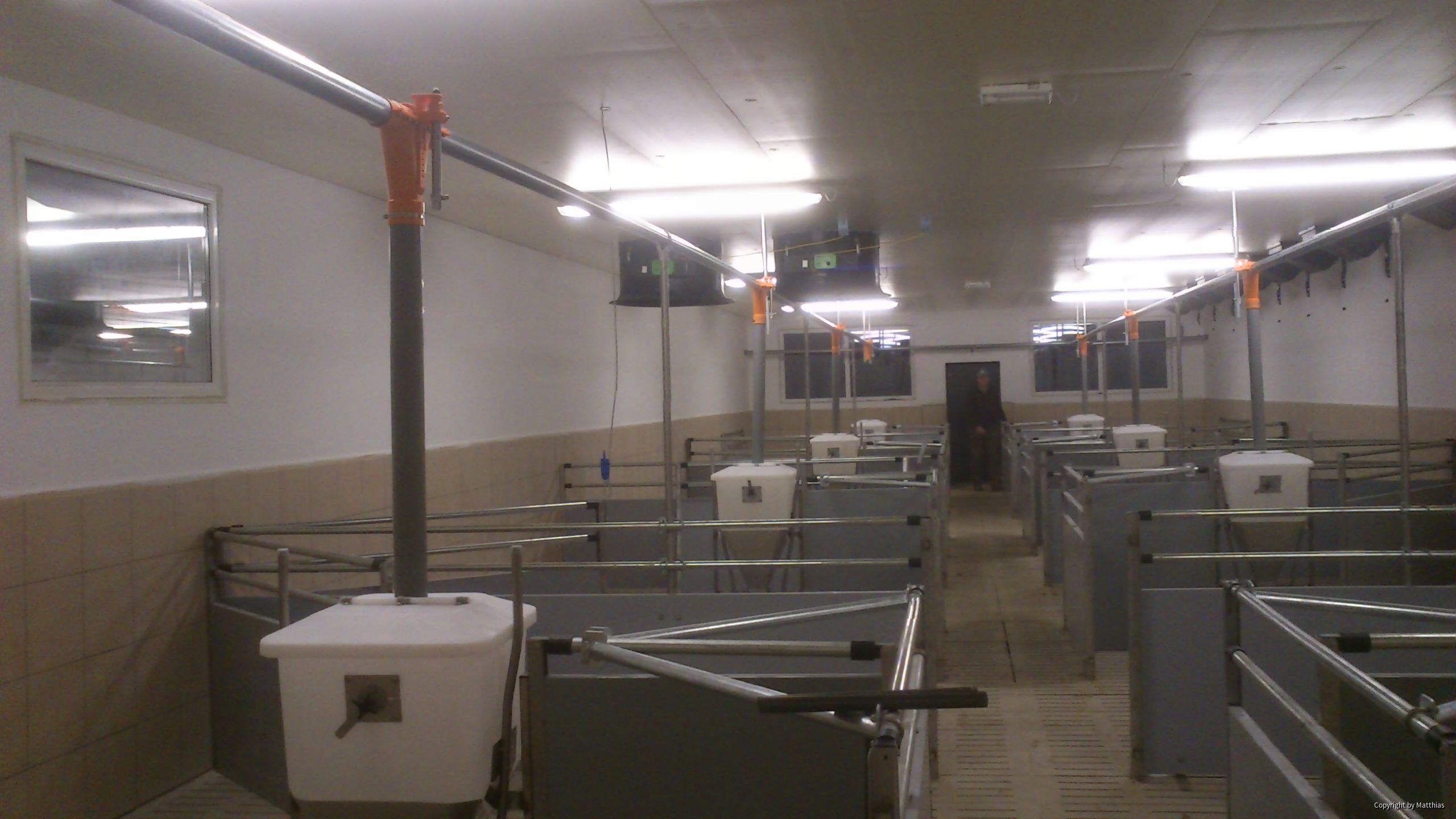 Maststall Bau im Jahr 2013 (Schweinemast)-5
