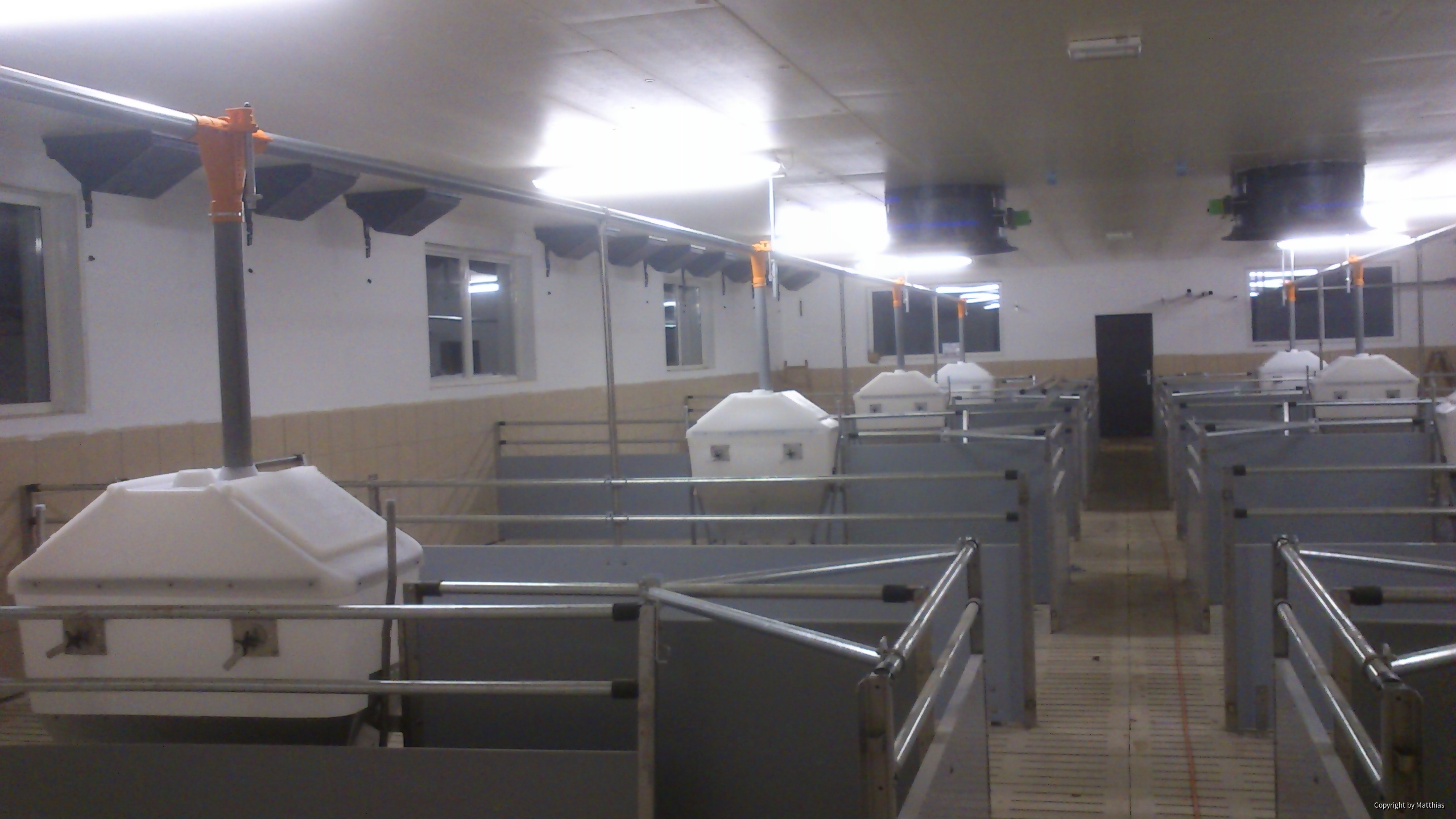Maststall Bau im Jahr 2013 (Schweinemast)-5