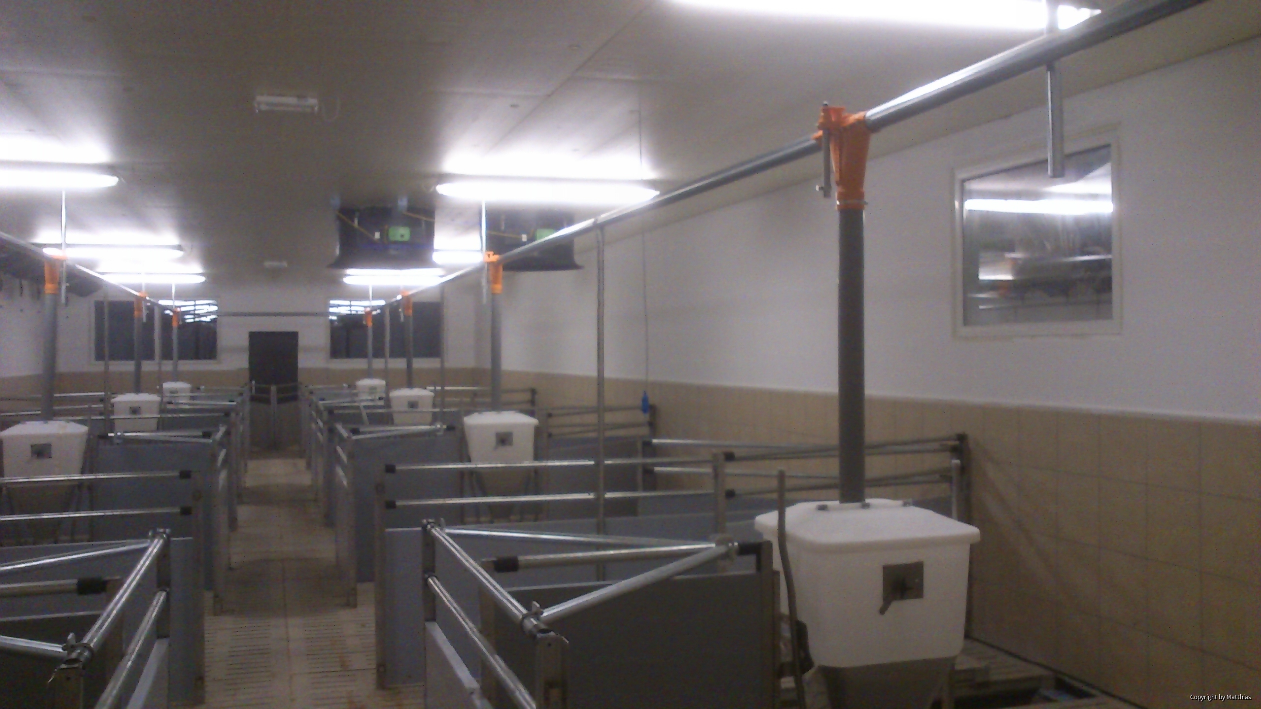 Maststall Bau im Jahr 2013 (Schweinemast)-5