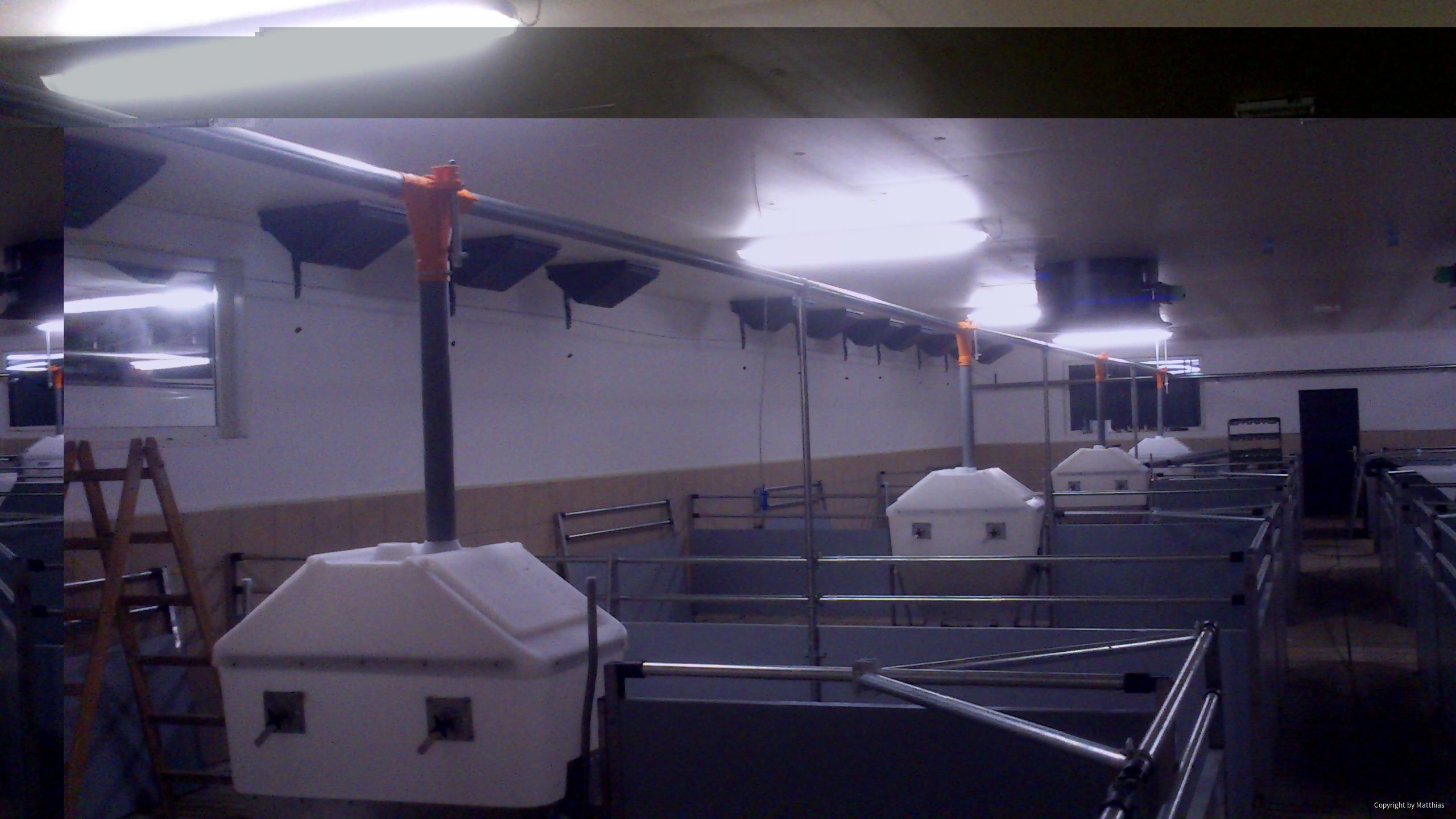 Maststall Bau im Jahr 2013 (Schweinemast)-5
