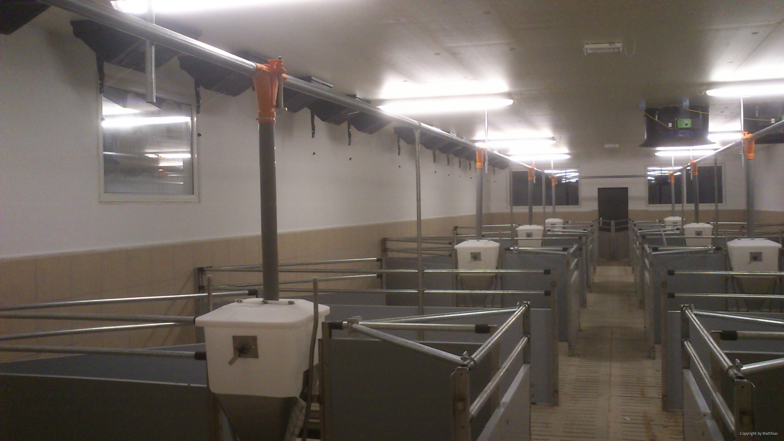Maststall Bau im Jahr 2013 (Schweinemast)-5
