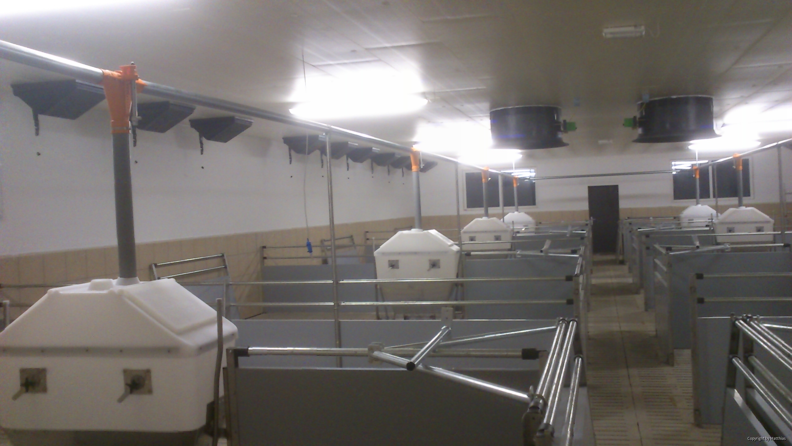 Maststall Bau im Jahr 2013 (Schweinemast)-5