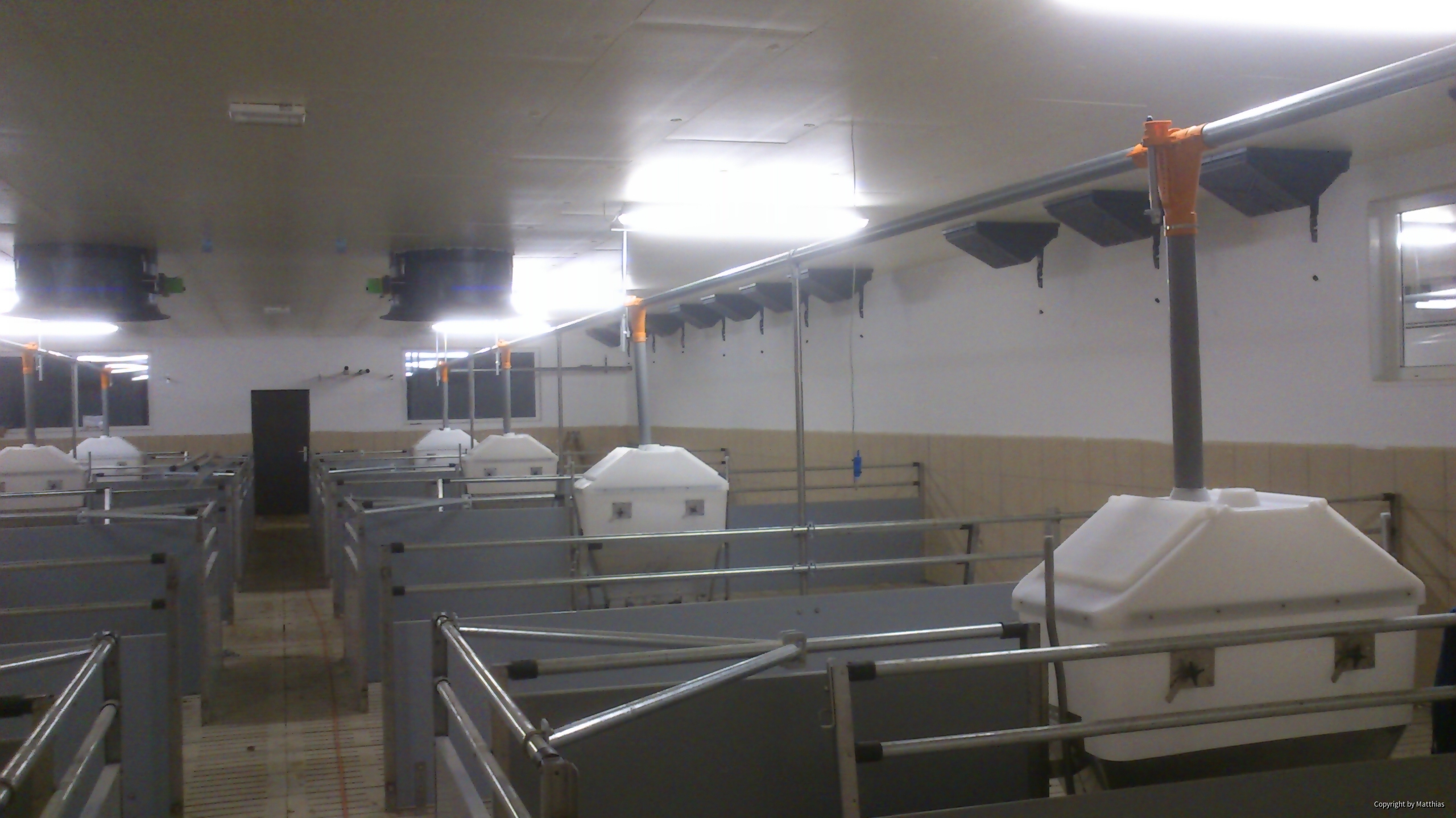 Maststall Bau im Jahr 2013 (Schweinemast)-5