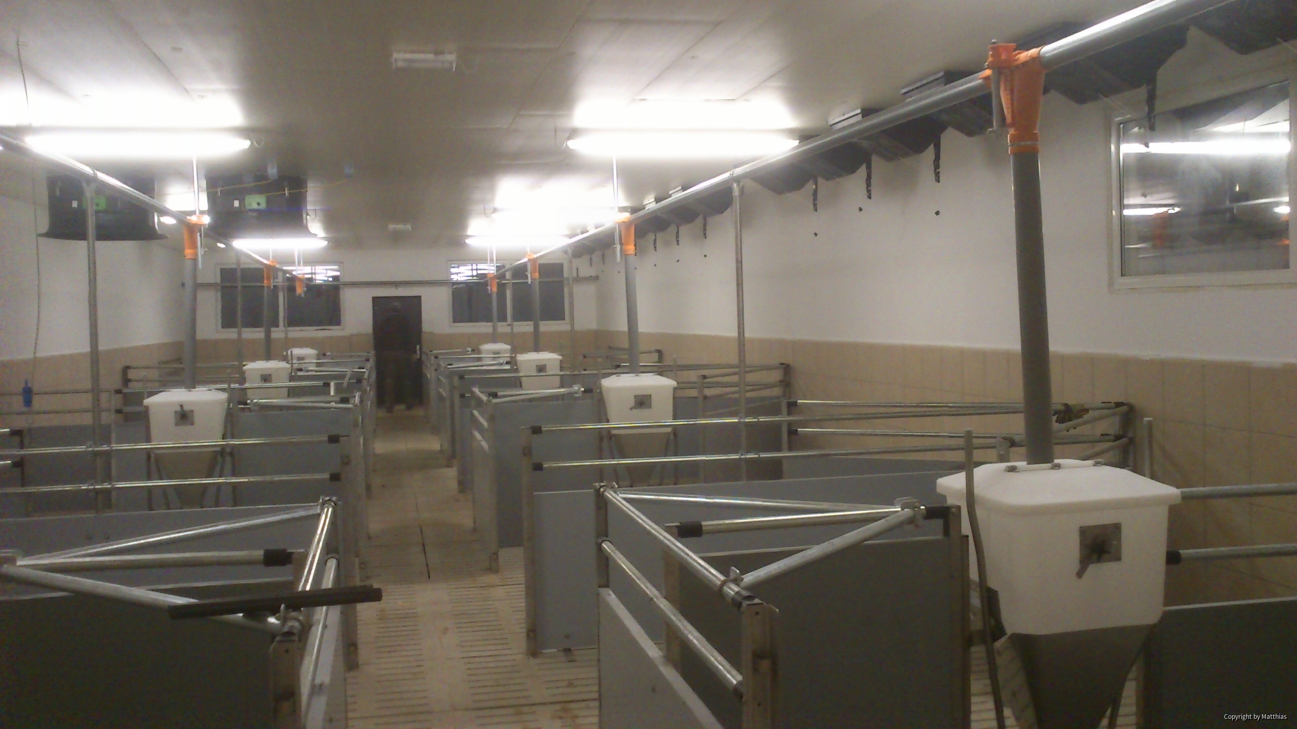Maststall Bau im Jahr 2013 (Schweinemast)-5
