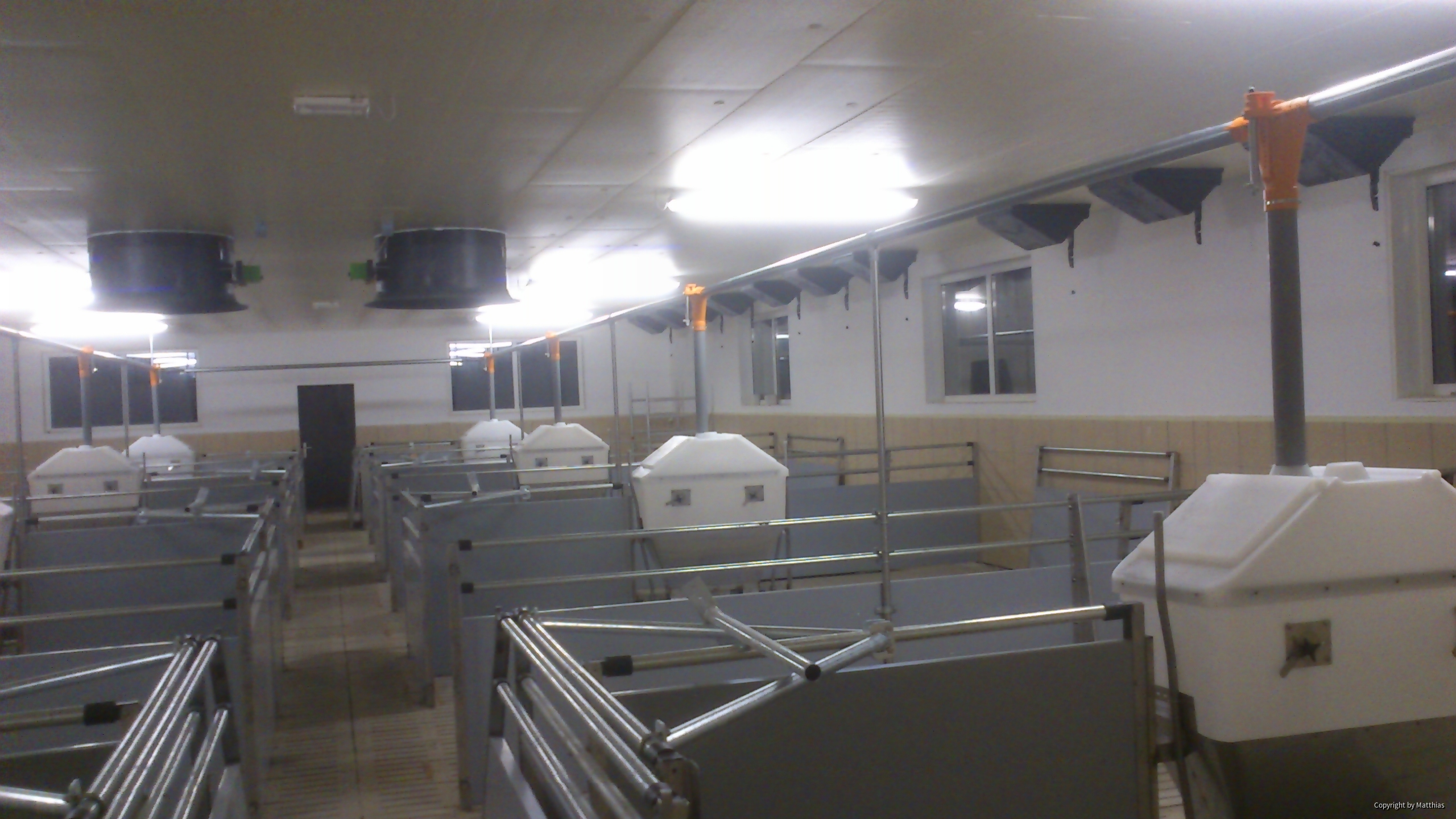 Maststall Bau im Jahr 2013 (Schweinemast)-5