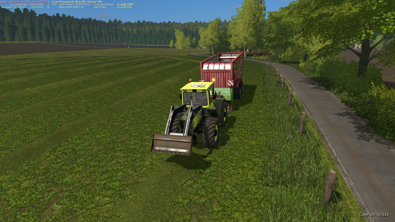 Grasssilagea