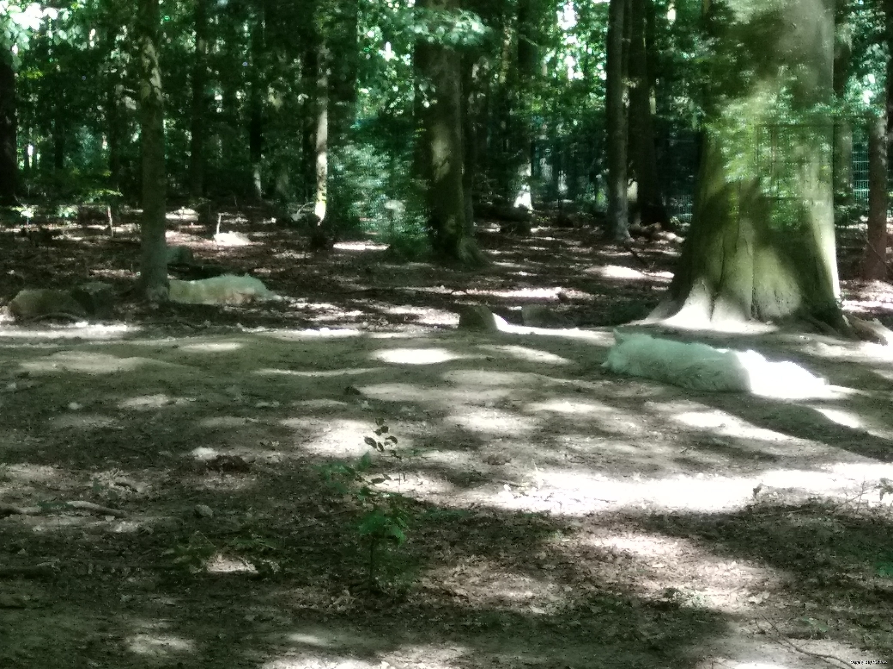 Zoo Stralsund