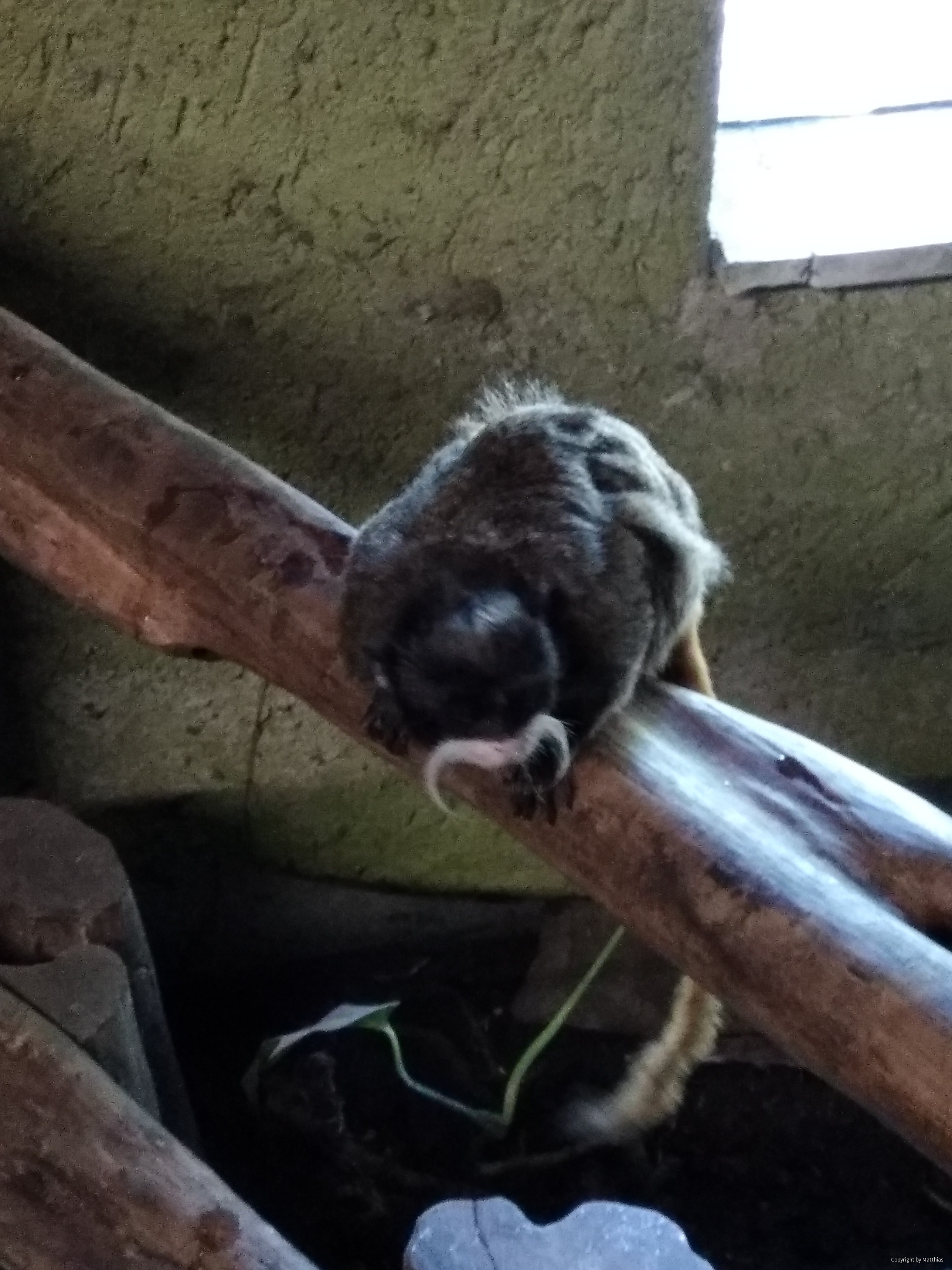 Zoo Stralsund