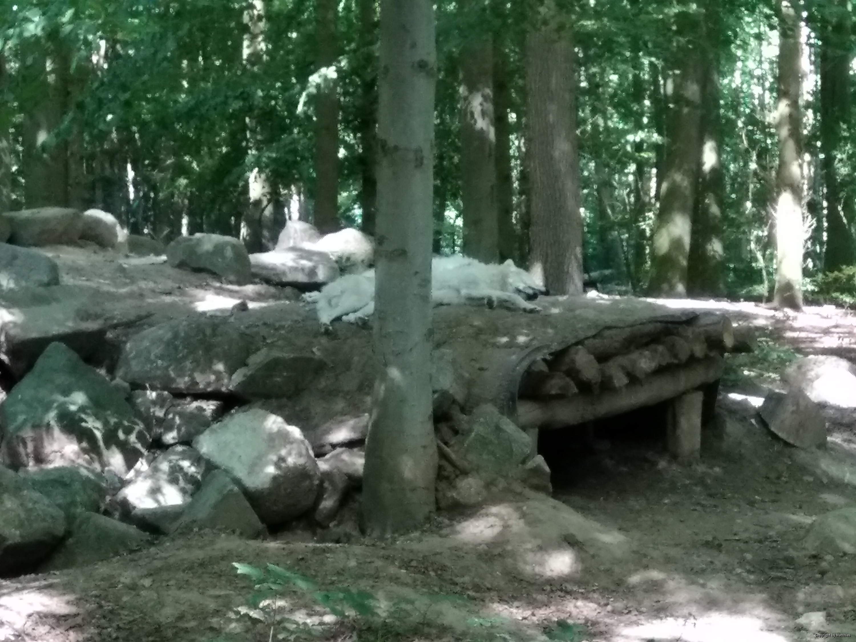 Zoo Stralsund