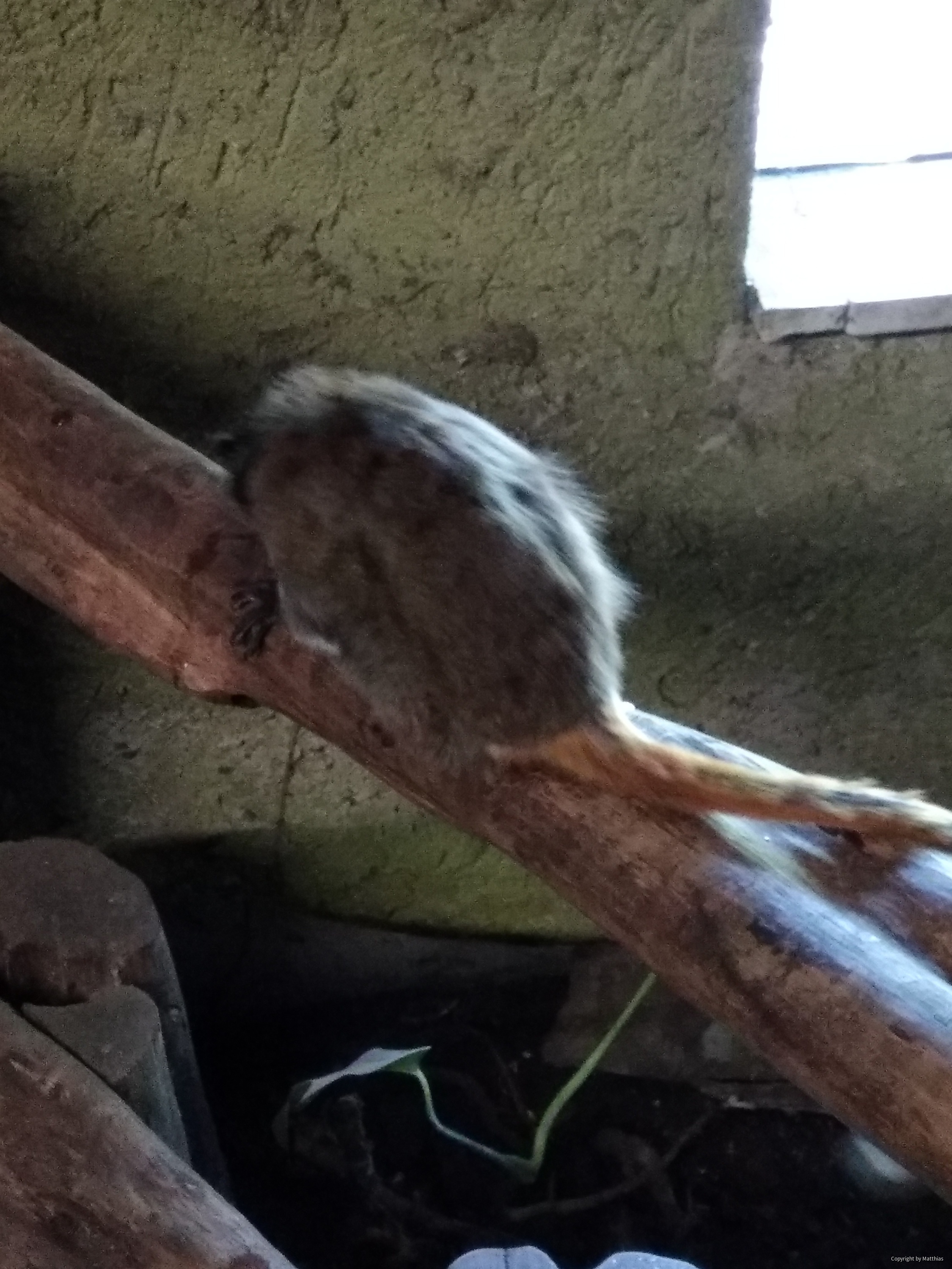 Zoo Stralsund
