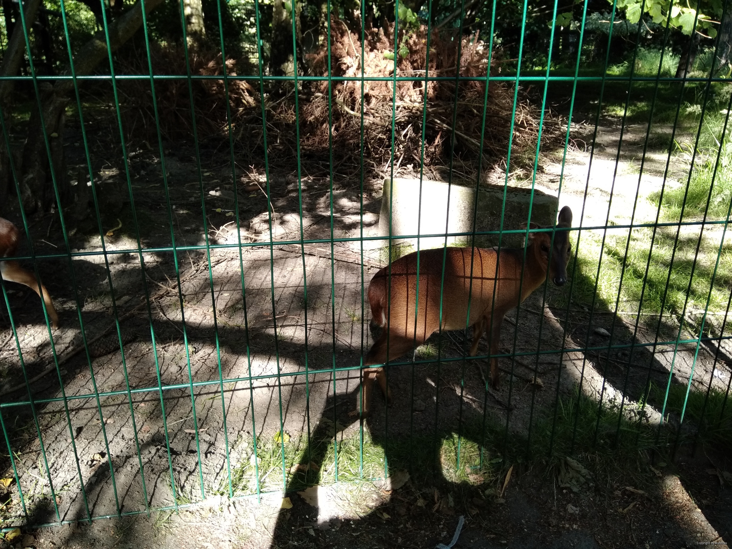 Zoo Stralsund