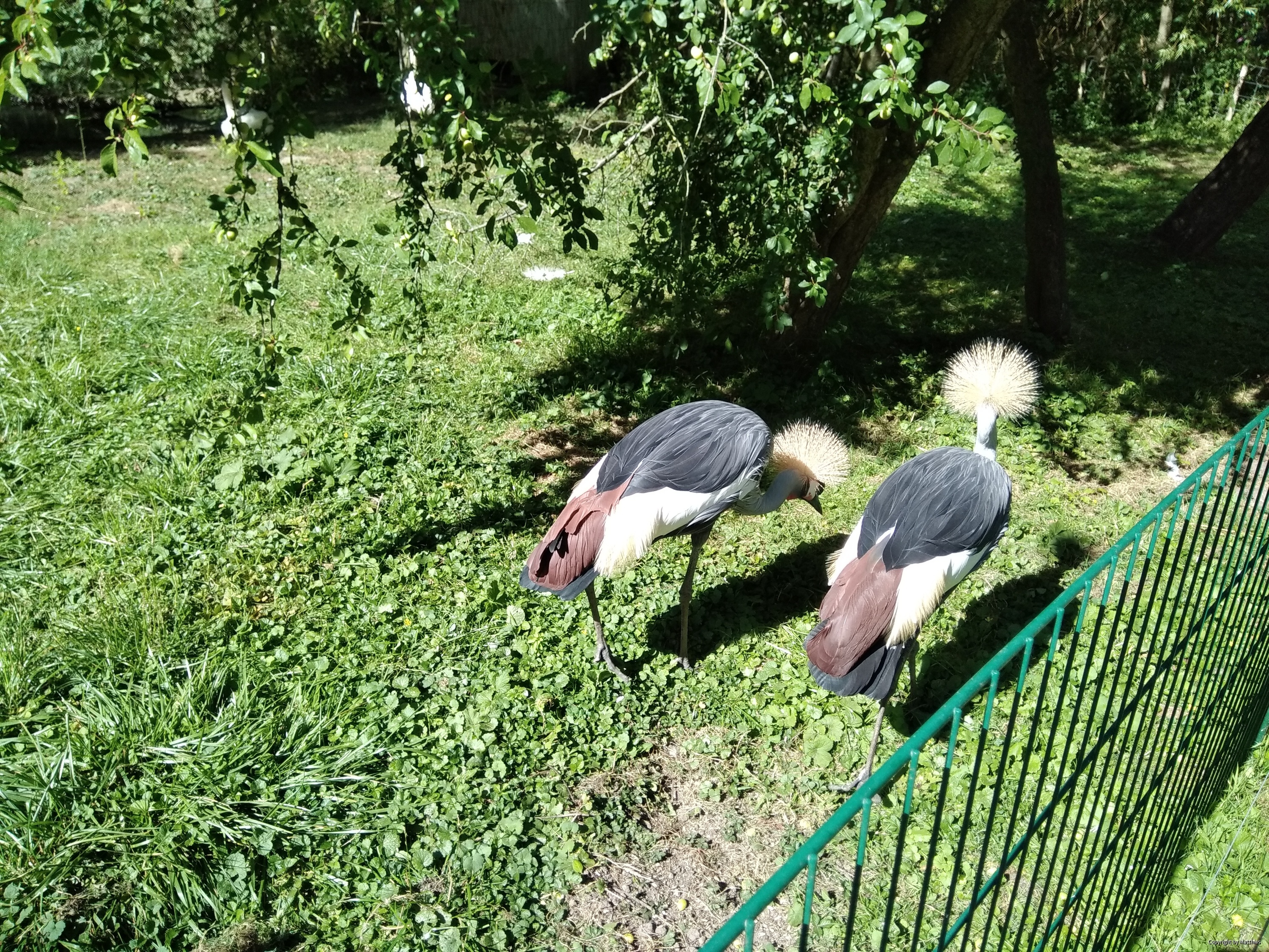 Zoo Stralsund