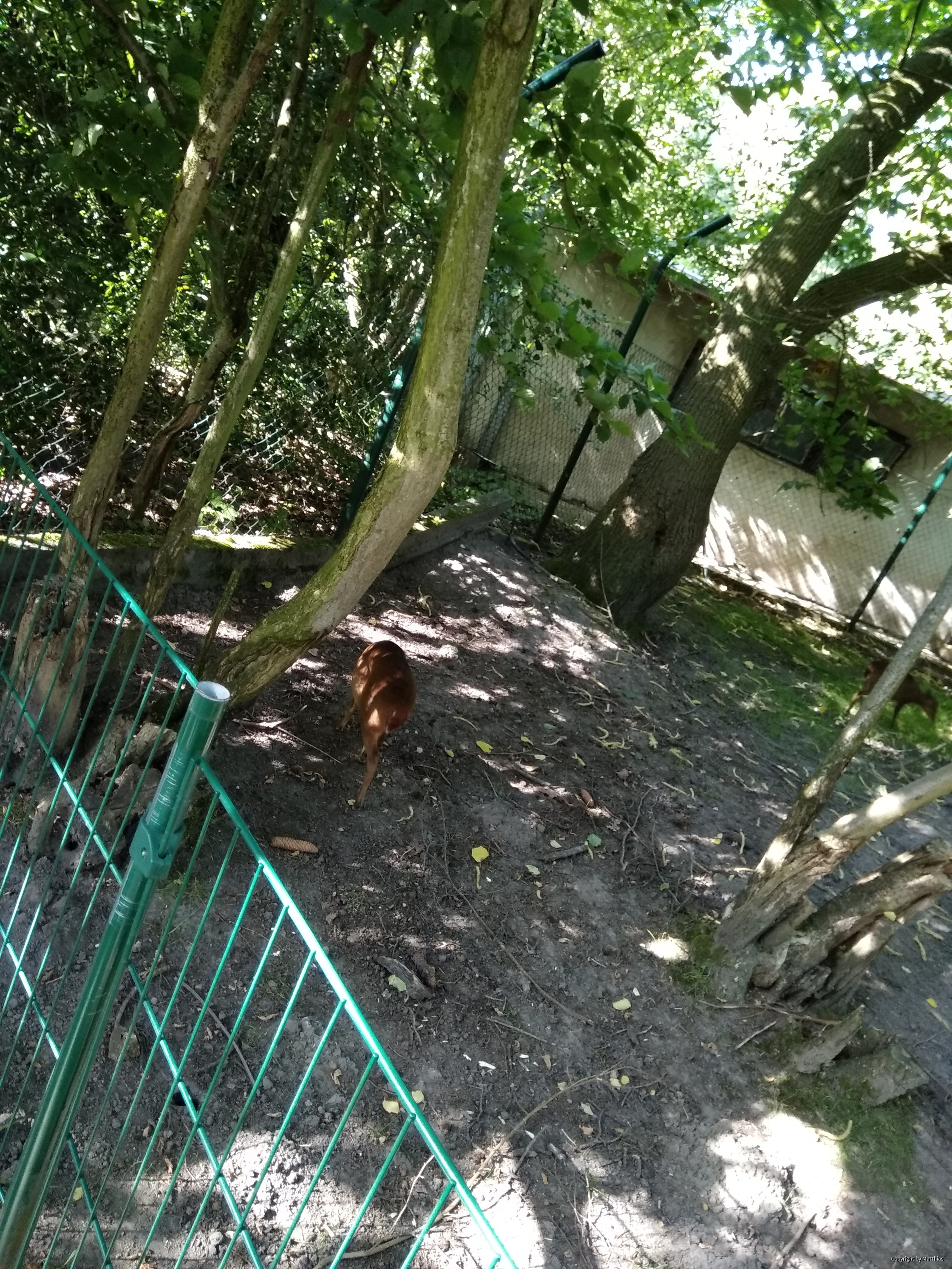 Zoo Stralsund