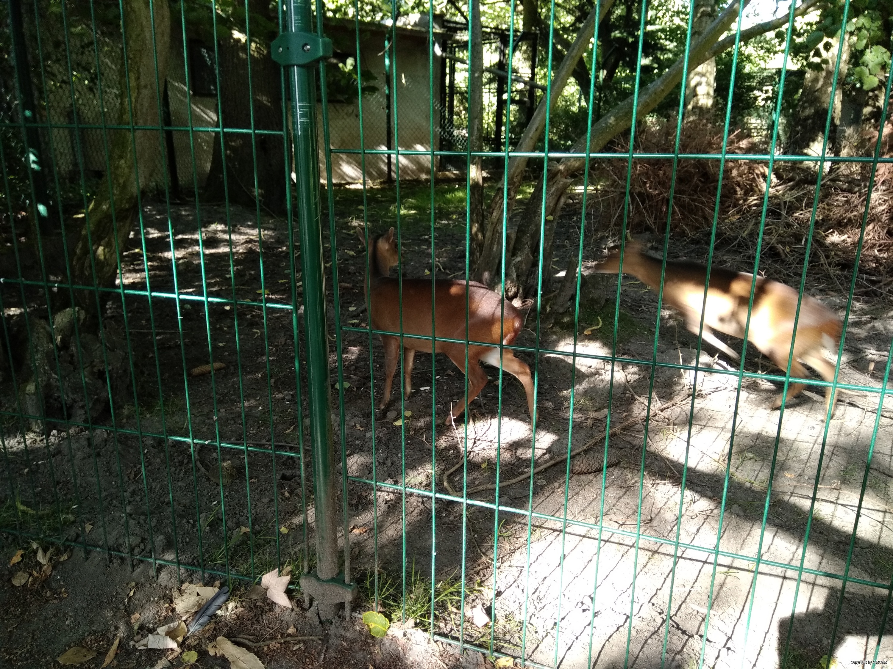 Zoo Stralsund