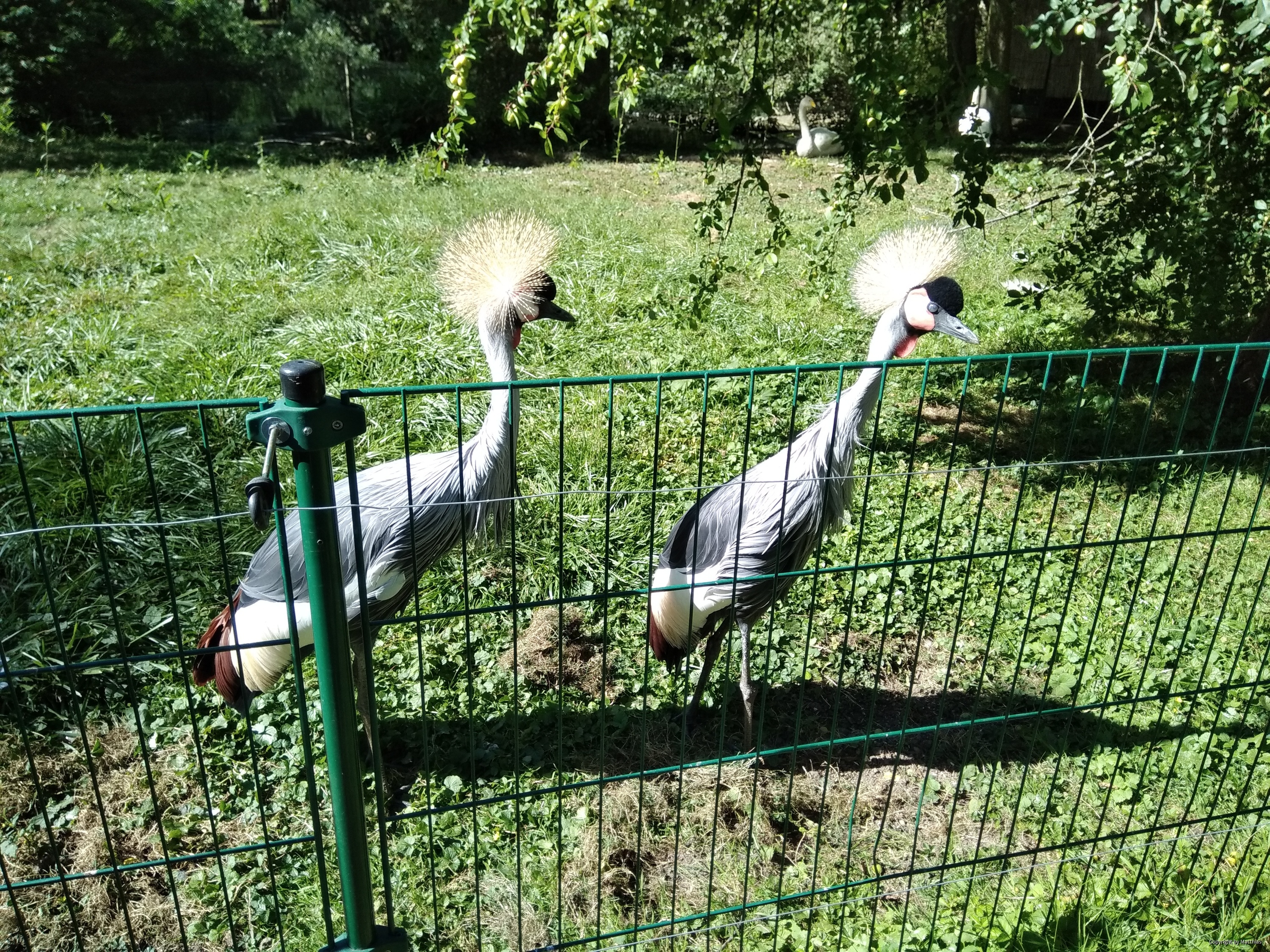 Zoo Stralsund