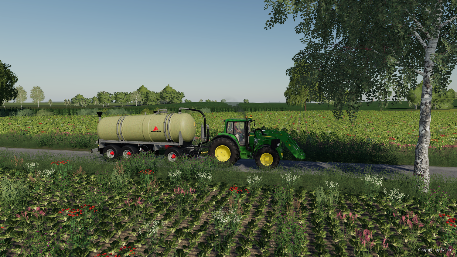 Neue Sachen2