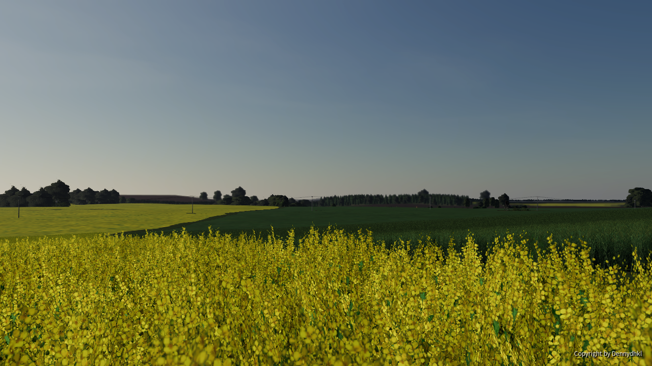 Der Raps steht schon voll in der Blüte.