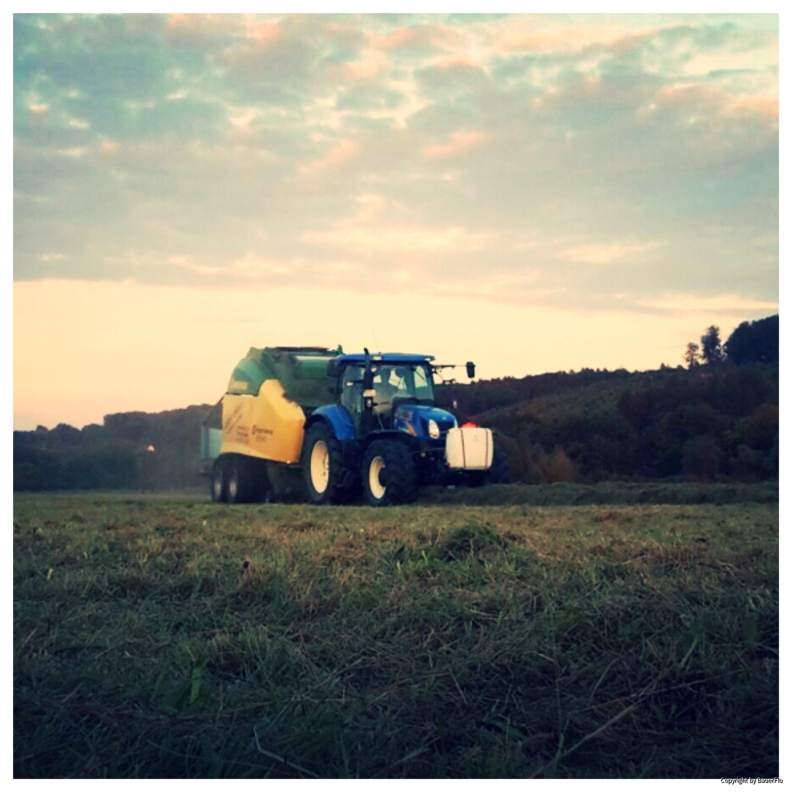 Wieder einmal Bilder von meiner Arbeit