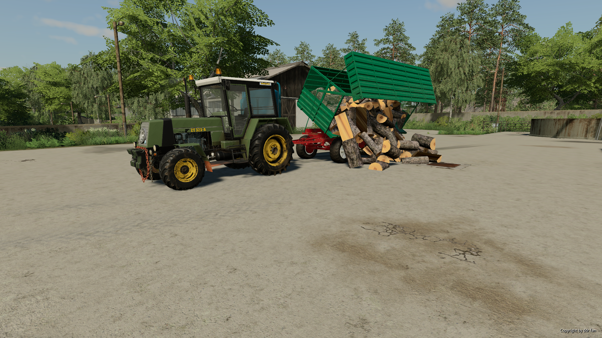 Holz