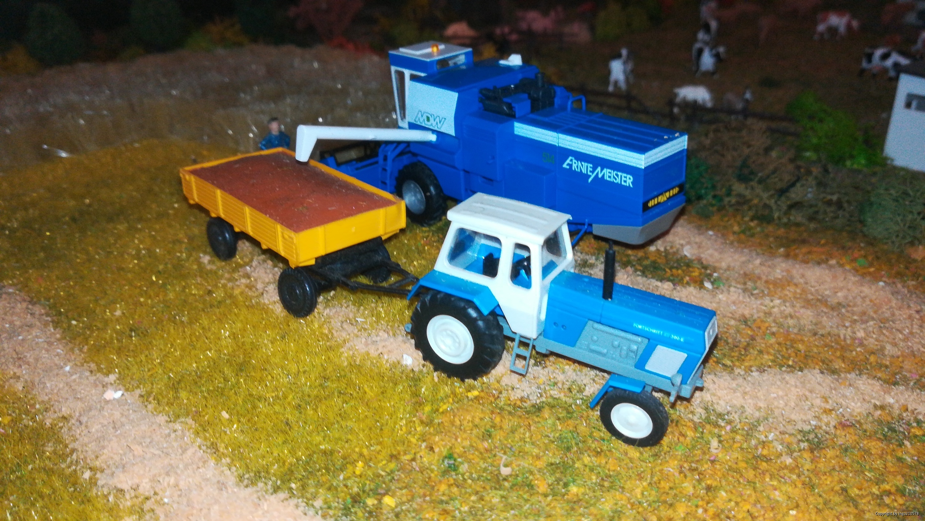 Rund um LS bei Ingo210578