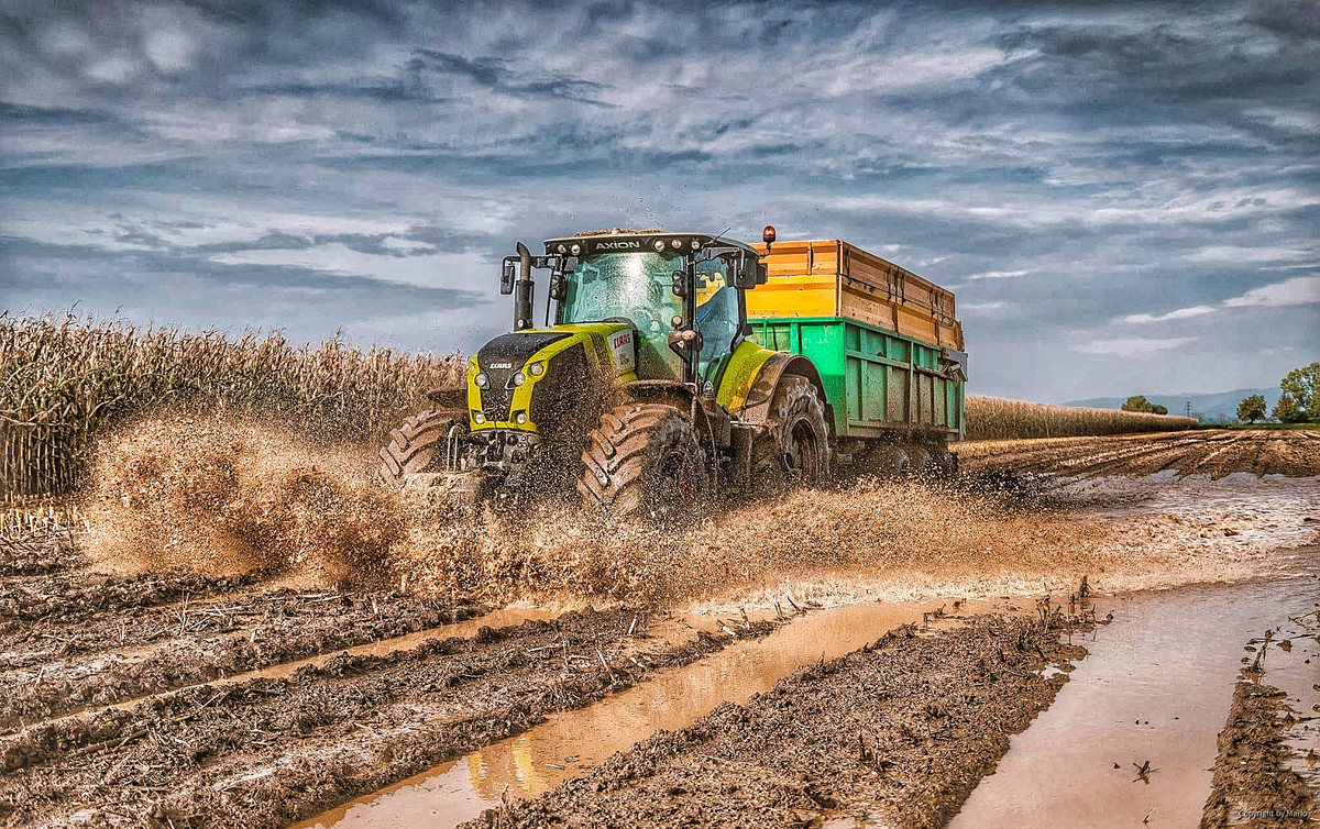 Claas Axion in Action