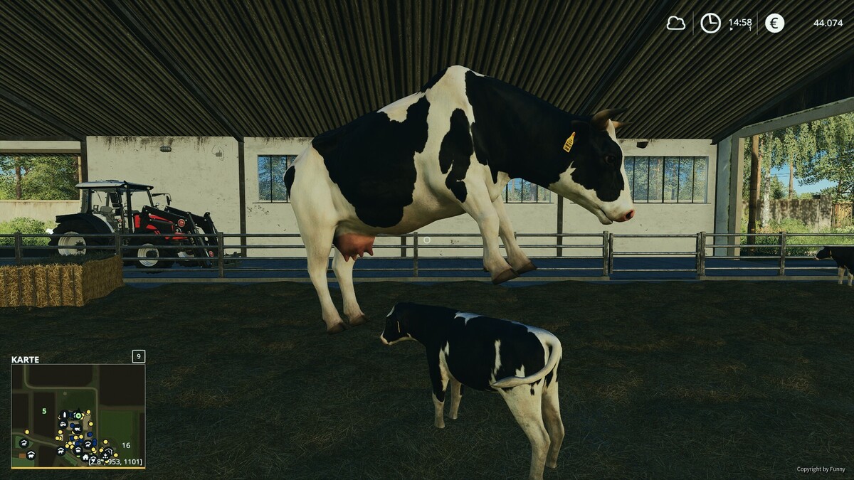 Es gibt schwebende Kühe auf der Hof-Bergmann