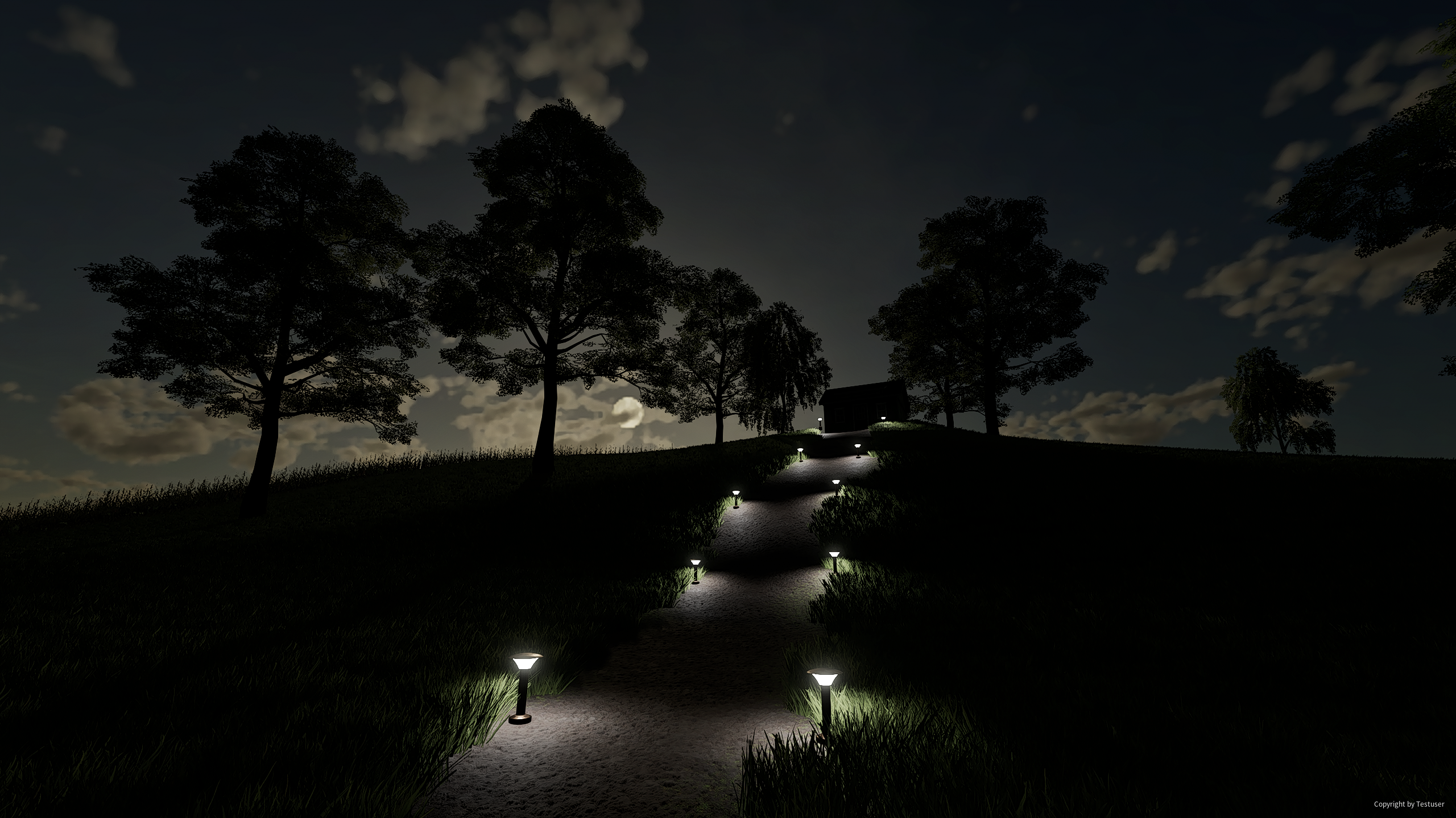 bei Nacht