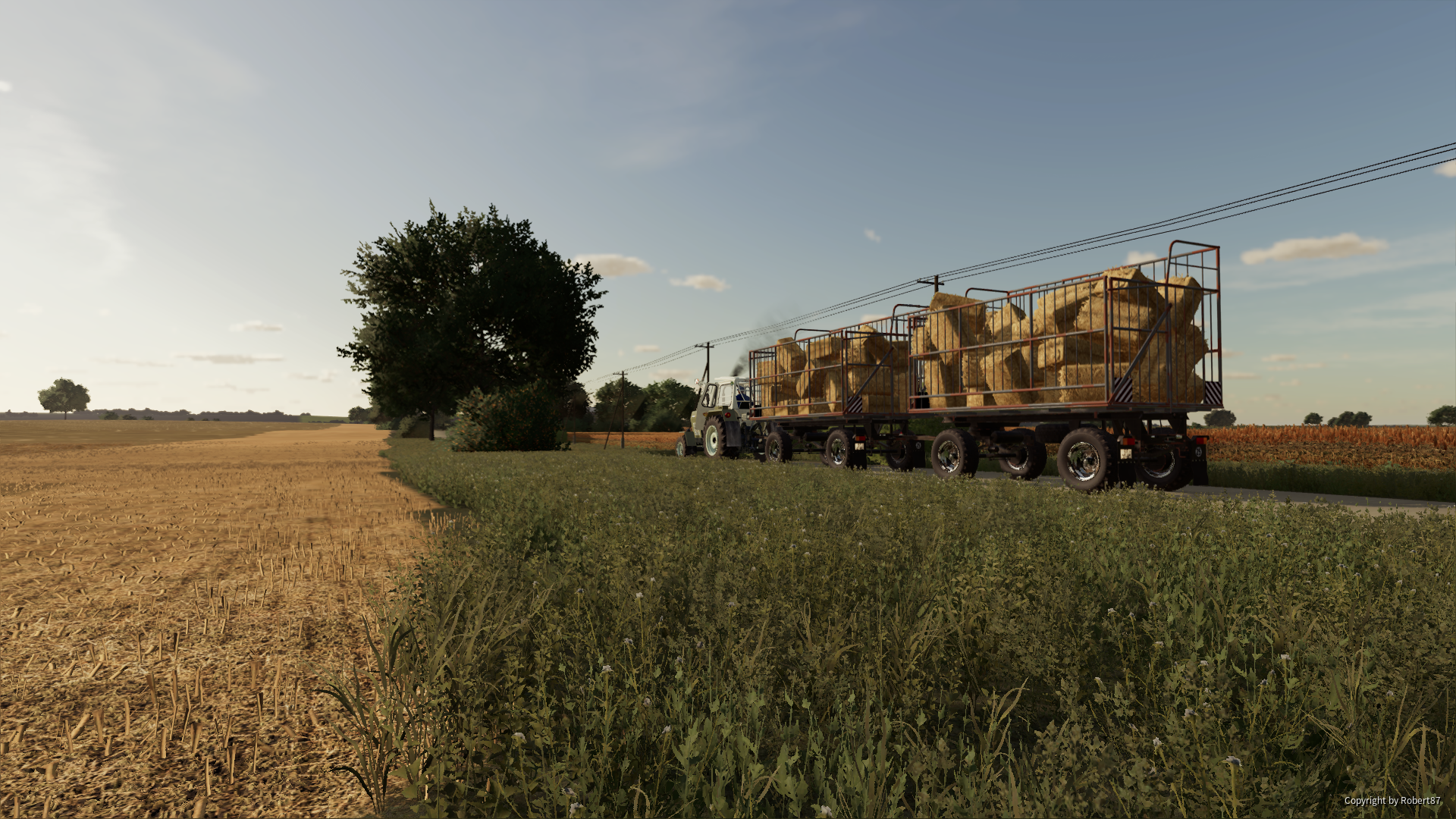 LS22