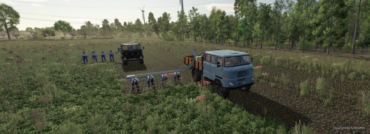Mit dem IFA W50 in der Langkabinenversion und acht polnischen Gastarbeitern arbeiteten wir auf dem Feld