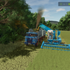 Gras für die Kühe mähen
