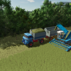 Gras für die Kühe mähen