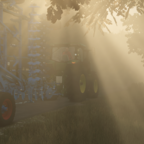 Nebel in Schwesing